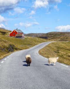The Best Ireland Road Trip Itineraries to Explore the Emerald Isle