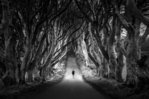 Visiting the Dark Hedges in Northern Ireland