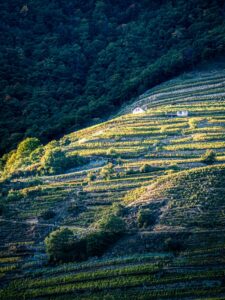 Valais, Switzerland: The Best Place for Raclette and Brisolée