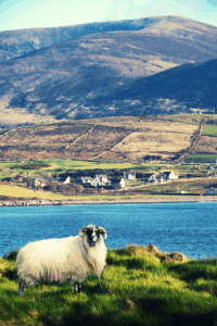 20 Beautiful Places to Visit in Ireland