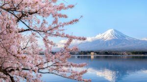 Cherry Blossom Japan 2026: When and Where to See Them