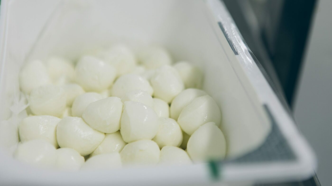 Mozzarella