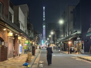 Tokyo travel mistakes to avoid