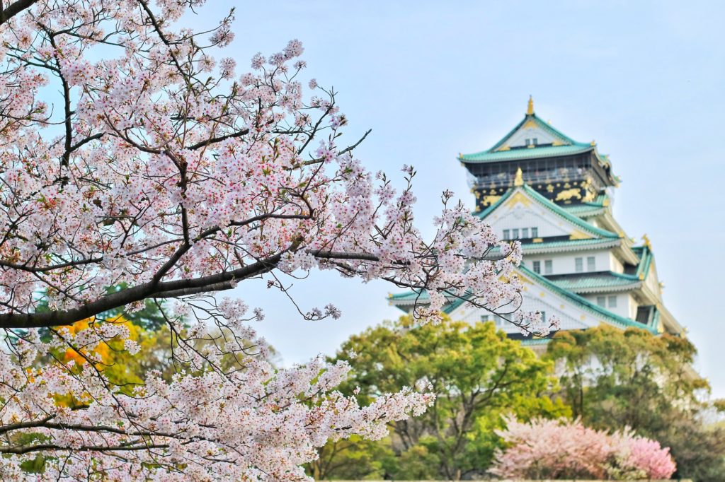 Cherry blossom Japan