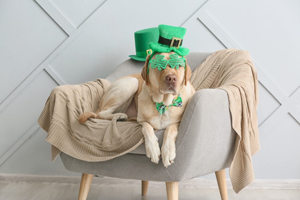 St. Patrick's Day