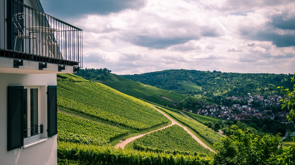 Stuttgart wineries