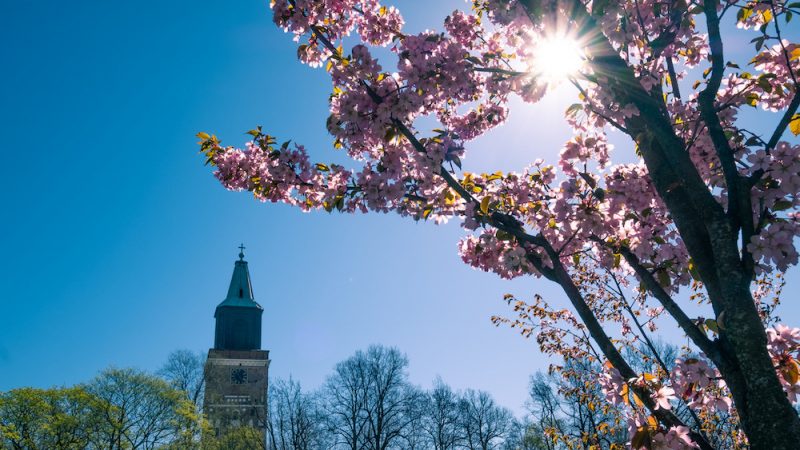 Turku primavera