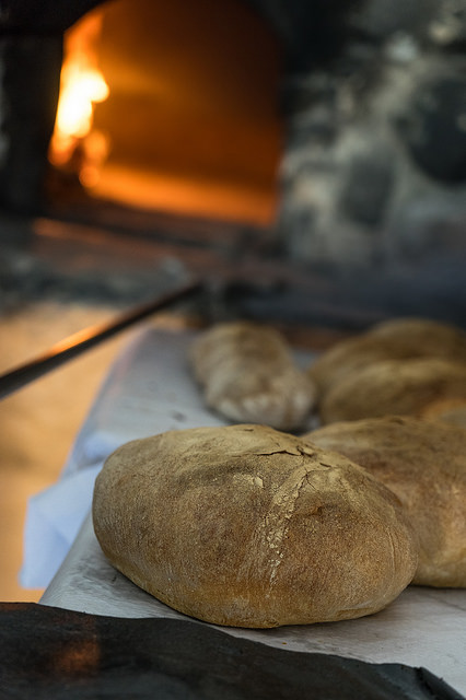 pane malta